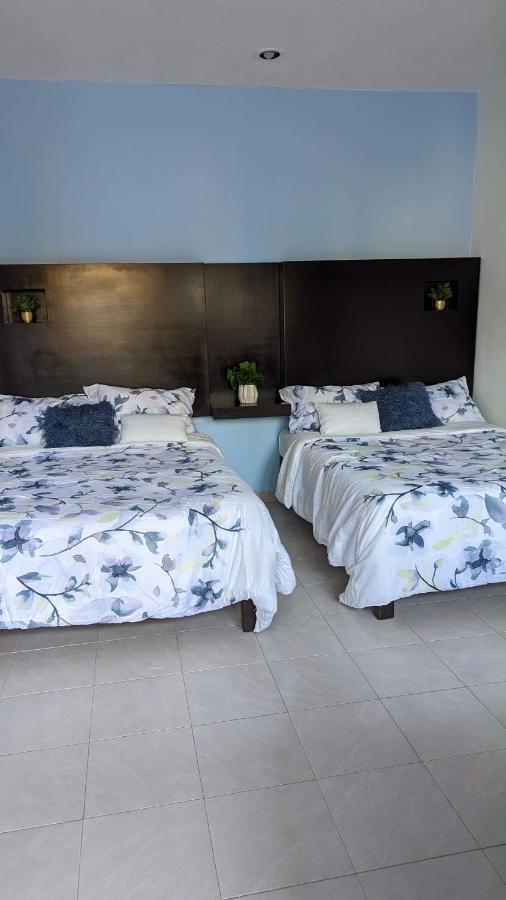 Playa Suites Playa del Carmen Zewnętrze zdjęcie